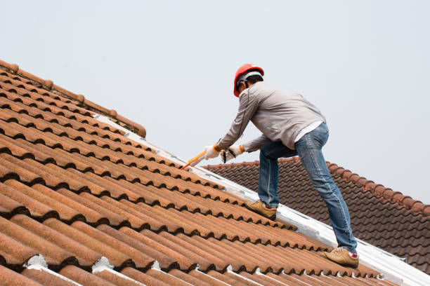 Best Roof Coating Services  in Rolling Meadows, IL