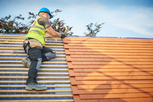 Best Steel Roofing  in Rolling Meadows, IL